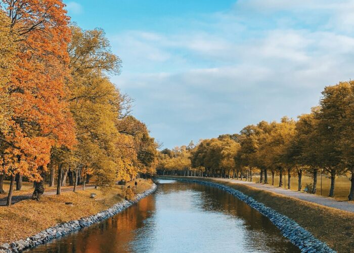 linus-mimietz-WZhoQfQA-Dc-unsplash